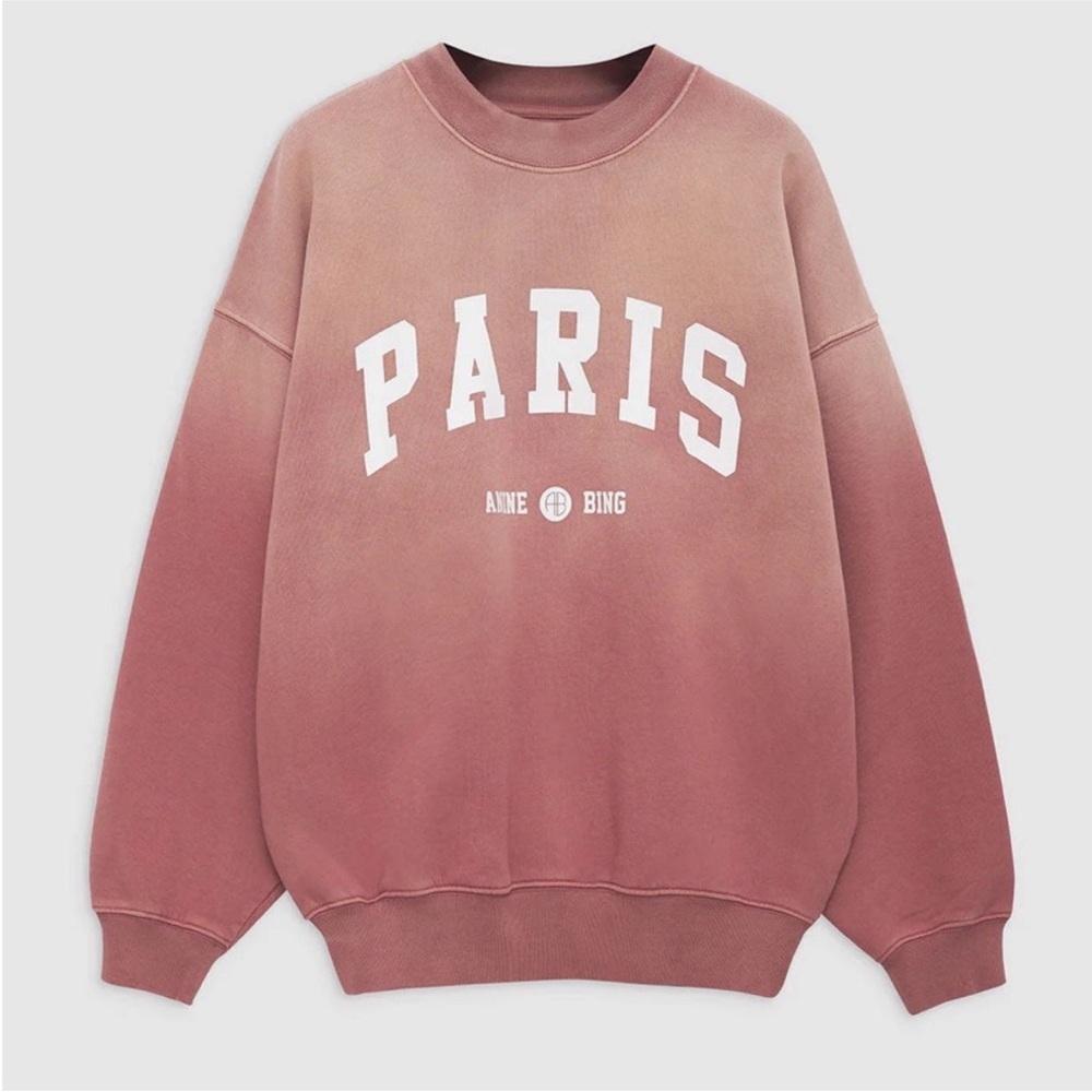 Anine Bing Jack Sweatshirt Paris
